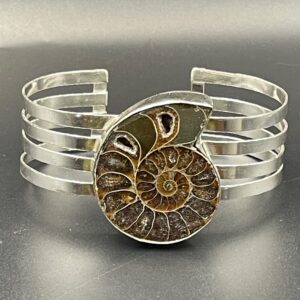 Ammonite Fossil in Handmade Cuff Bracelet